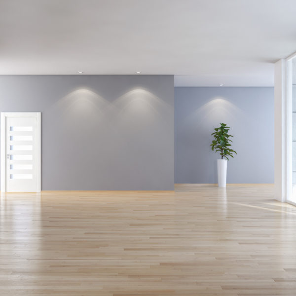 dom mieszkalnie holl lokal